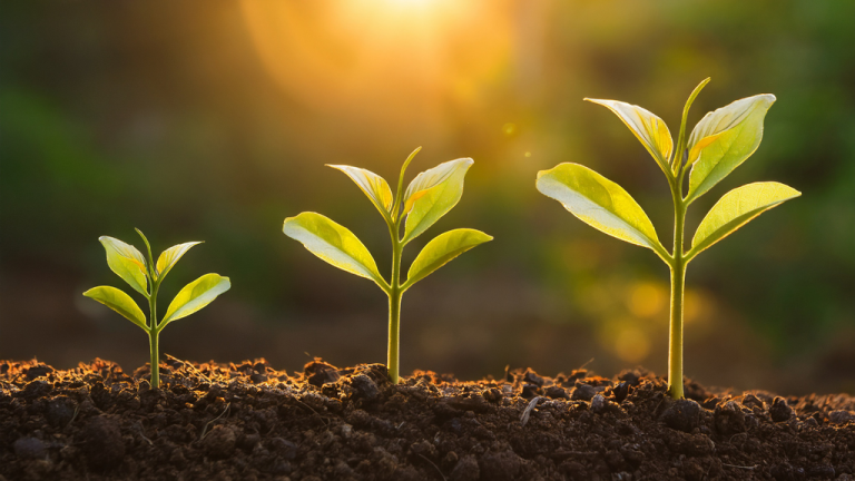 Era solution, accompagnement et gestion petits entreprises
